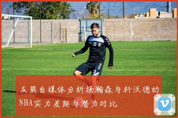 灰熊自媒体分析杨瀚森与科沃德的NBA实力差距与潜力对比
